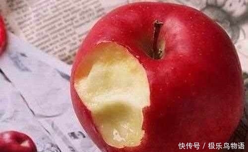 人吸收|晚上吃的苹果是“毒苹果”？吃苹果的4个误区，今天告诉大家