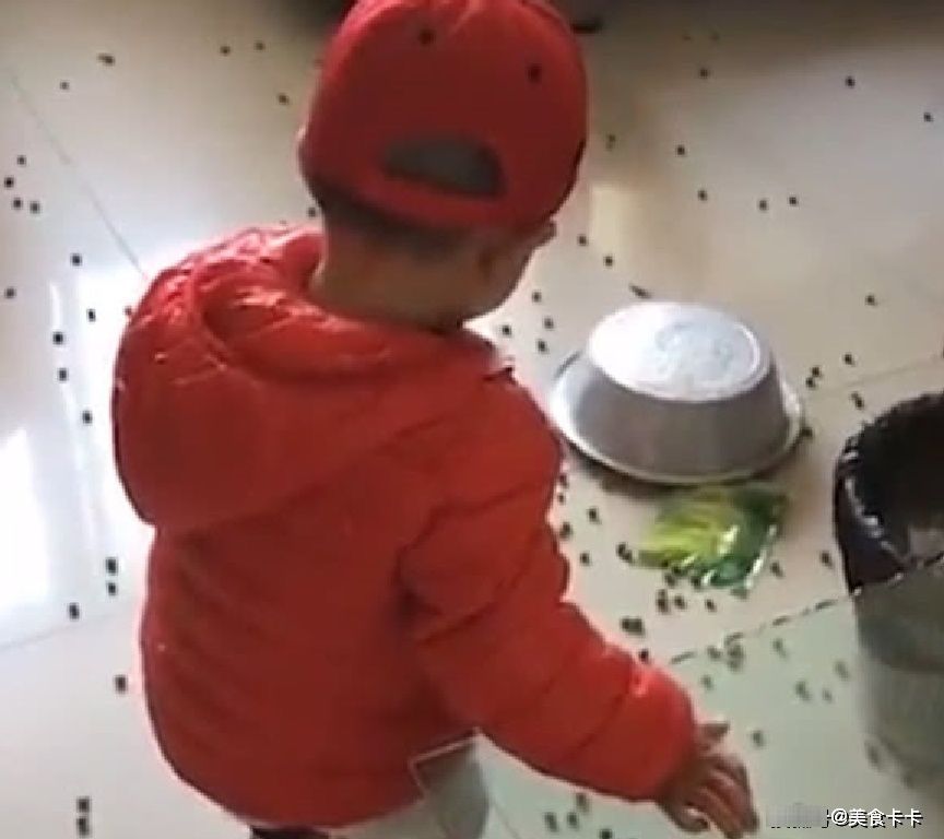 豌豆|奶奶上1秒钟还看着孙子笑呵呵,下1秒看到宝宝的动作后,气炸了