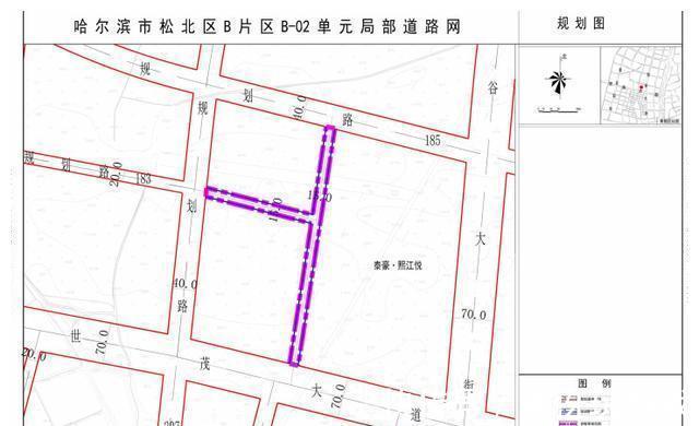 绿地率|新区多板块规划调整！公园、学校、道路......配套更加丰富