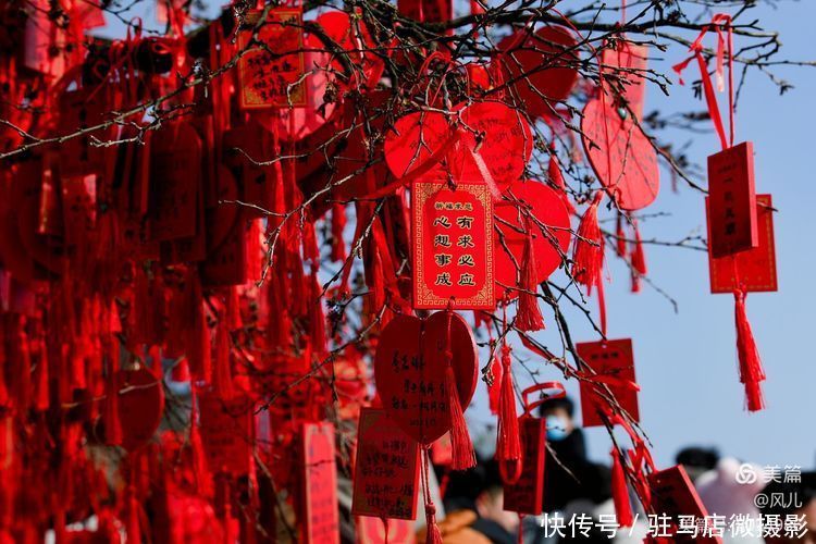 老君山：追梦你的白雪，你却馈赠天宫云海