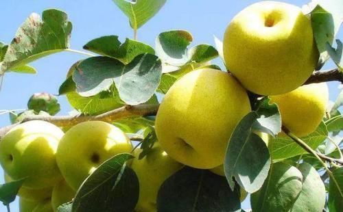 肺癌开始骨转移,身体有何征兆?医生:夜间1处总会疼,需警惕