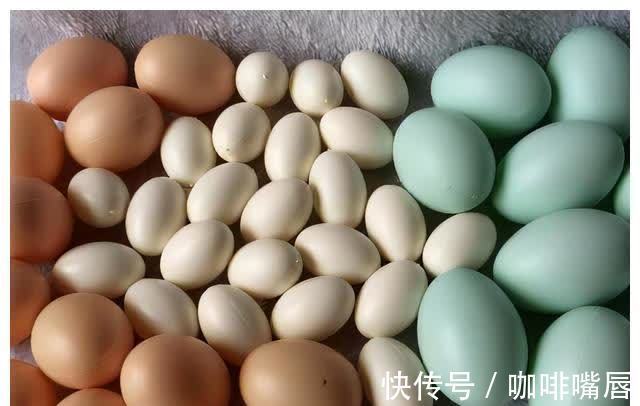 优质蛋白|鸡蛋、鹅蛋、鸭蛋,哪个更有营养?听听营养师的答案
