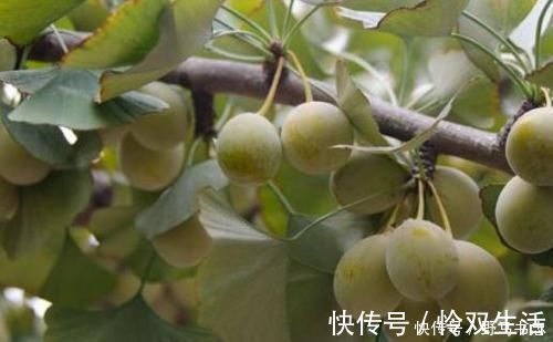 肤色|不想早衰,推荐吃的食物,改善贫血,提亮肤色,远离身体不适