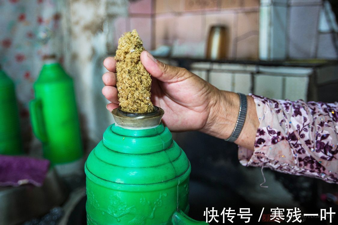 海礁石|浙江沿海有种美食“海燕窝”，过去1毛一斤现在卖500，有人说不贵