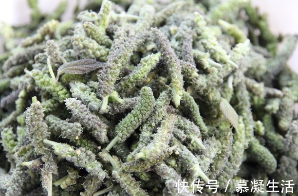 吃法|68种野菜图片，教你认识不同的野菜和吃法，你想要的野菜这里都有