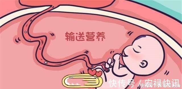 待产包|胎儿出生“剪脐带”时,是妈妈痛还是胎儿痛答案有点意外