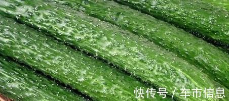 买黄瓜时，很容易买到激素黄瓜，学会这三招，买来的都是好黄瓜