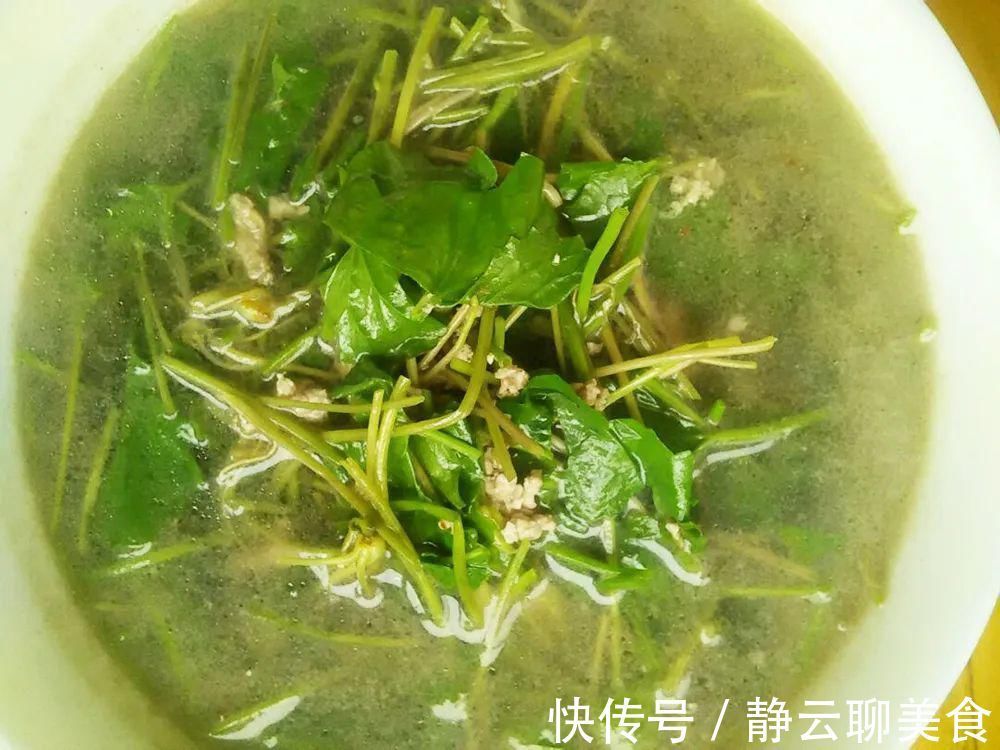 凉茶|若在野外遇到，别当杂草，它就是有名的“积雪草”，目前价值很高