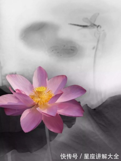 福星高照|7月中旬开始,福星高照,4属相福禄不缺,生活更上一层楼