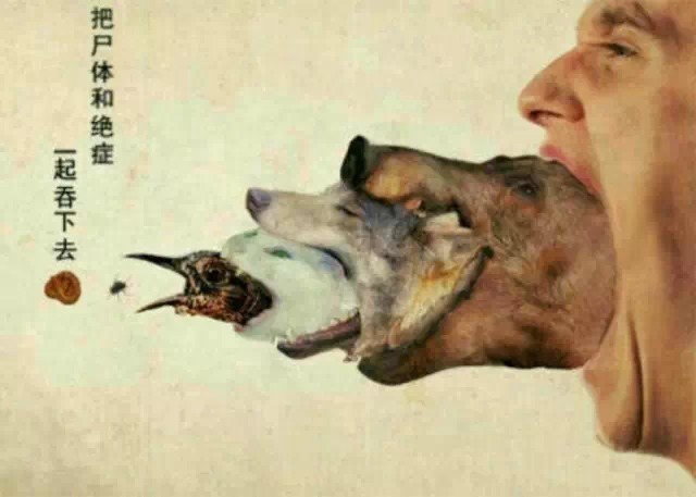 教人做肉食,他会有果报吗?