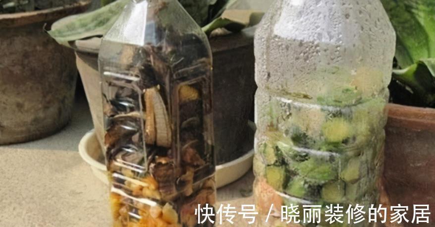 养花|养花浇水是门学问,不讲究迟早要吃大亏,别再随意用了