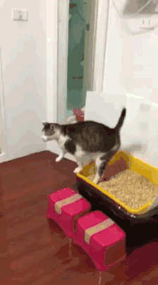 |搞笑GIF趣图:被点了穴咋地??