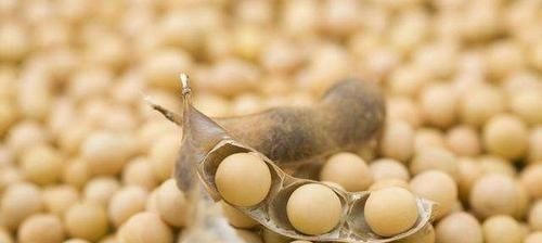 胆固醇|高血脂的“清道夫”找到了,每天吃一点,清除血液垃圾,预防血栓