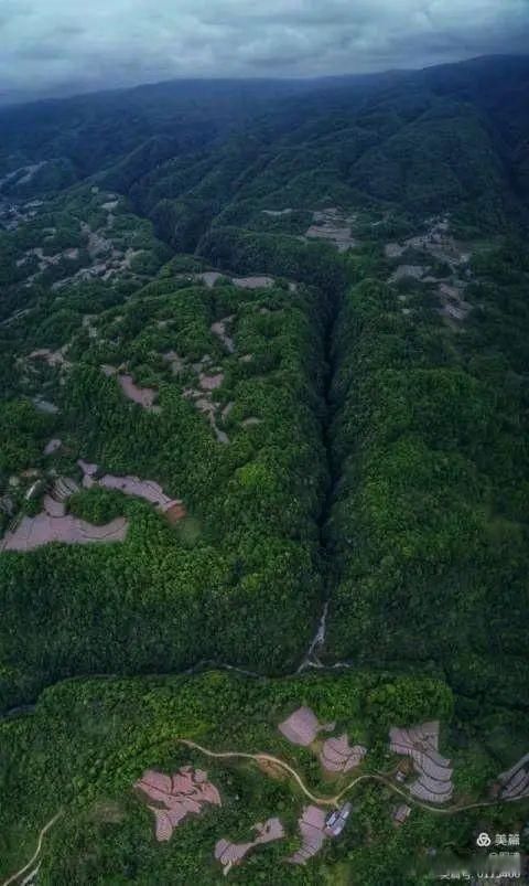 岩壁|探秘鬼斧神工的汉中“大屋基”地缝峡谷，秦巴深处的地质奇观