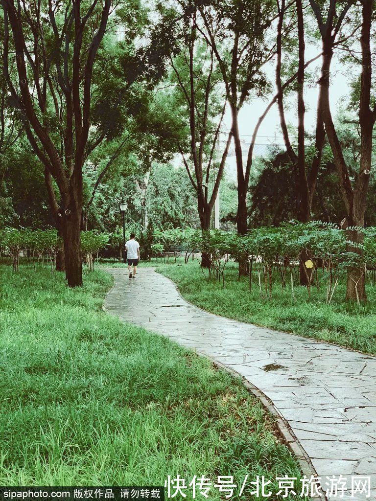 古塔|免预约免门票！京城闹市的“江南秘境”内竟有座明代古塔，蒸汽火车也“开”进来了