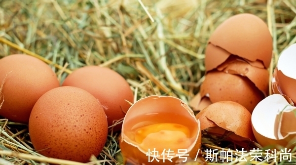 生鸡蛋、蛋壳养花方法不一样,别弄错了