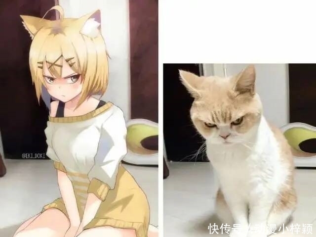 现实|二次元VS三次元,原来二次元女孩都是从现实中变的