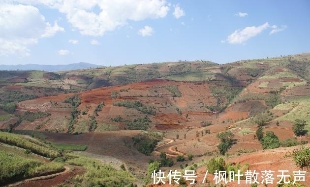 长物志@于2004年,横空出世的黄龙玉,具备中国文化特色的国玉!