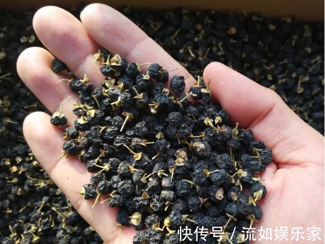 花青素|黑枸杞有着“花青素之王”的美誉,4种吃法为健康美丽加分