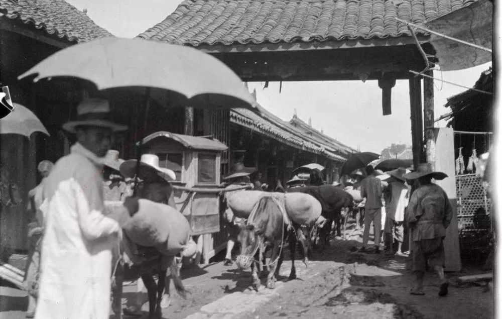 陈寅恪考证华佗是五天外国之音,曹冲称象为假,谬矣!