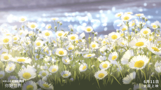 壁纸|每一帧都值得收藏!《你好世界》发布唯美动态壁纸