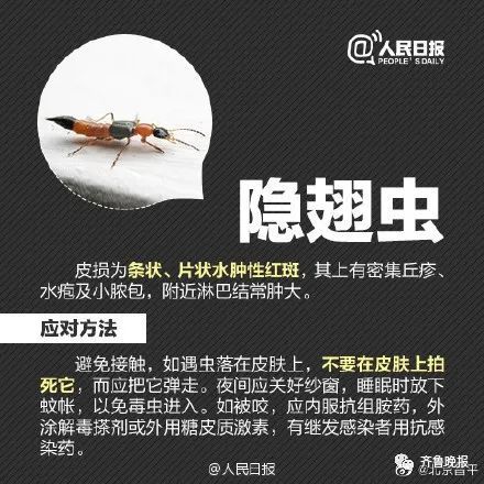 毁容|女子被虫子爬过脸颊险毁容，网友：再也不敢关灯玩手机了