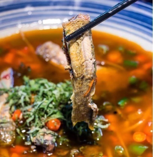 甲鱼|最好吃的鱼，营养是甲鱼8倍，16块钱一斤，比肉便宜无人买