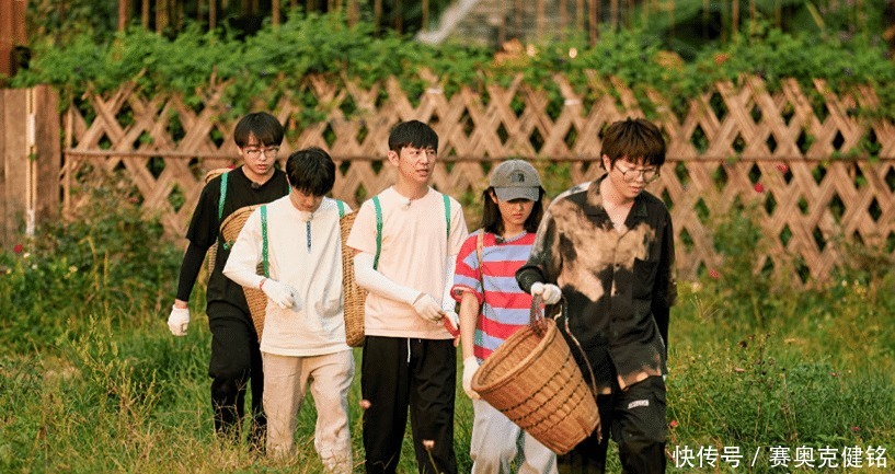 张子枫|张子枫干活他看着!《向往》中的张艺兴,这一次被吐槽的冤吗?