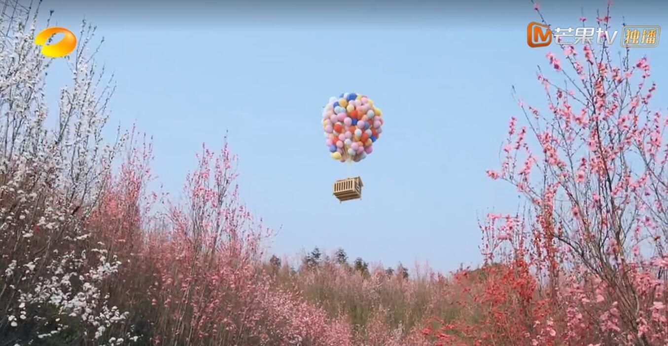 桃花源记|为录制《向往的生活》限制岛上居民出行？节目组回应：没有