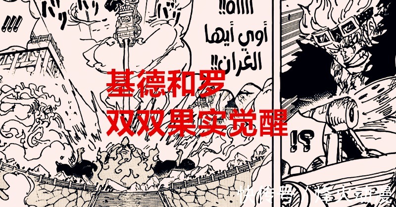 四皇大妈|海贼王1040话:罗觉醒后,单果实变双果实,悬赏50亿果然名不虚传