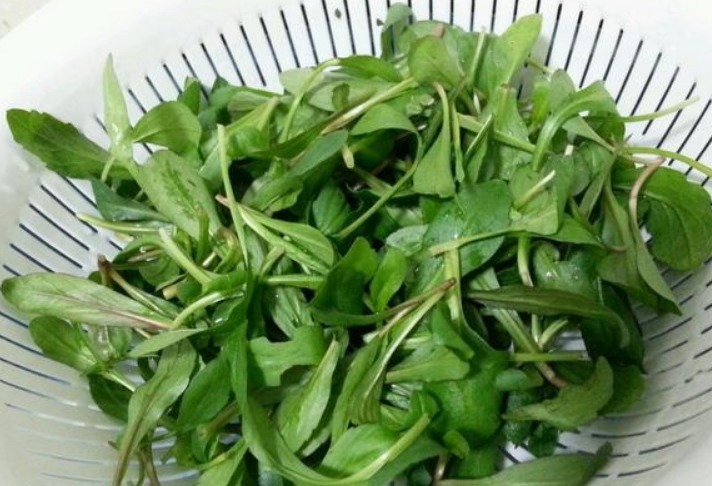 凉血止血|这种野菜路边很常见，凉血止血、清热利湿，最适合高血压食用！