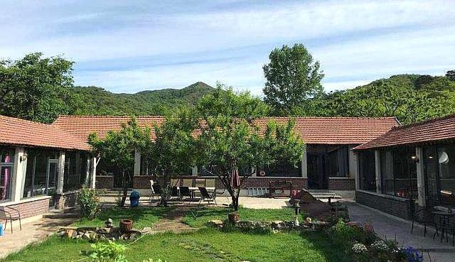 有院子的朋友，想在院子种树，这五个“不要”要了解！