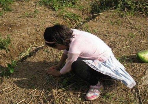 兄弟姐妹|龙凤胎一个交给奶奶养,一个交给外婆养,几年后差距竟然如此大