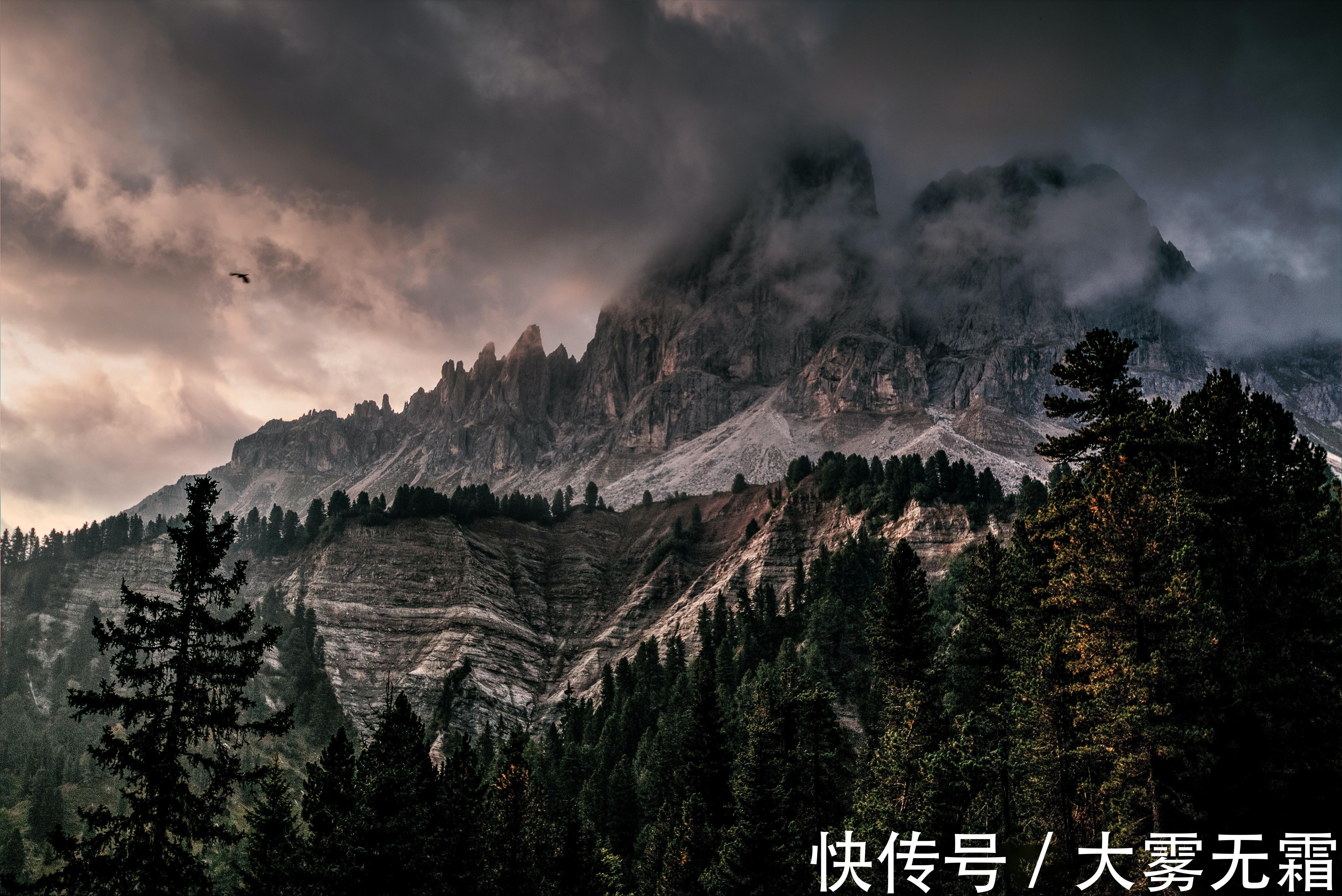 广告|房地产广告那么假大空却还自我感觉良好，哪来的底气？