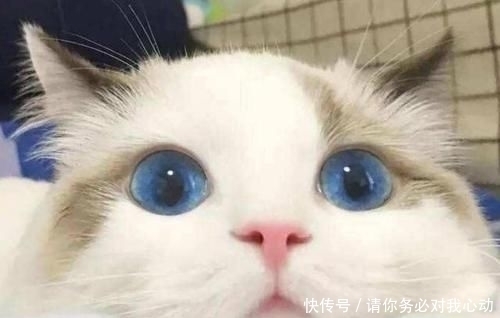 |爸爸姓甄,给女儿取名太幽默,上户口时工作人员笑得肚子疼