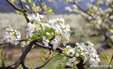 四月春山美 绿水青山门头沟