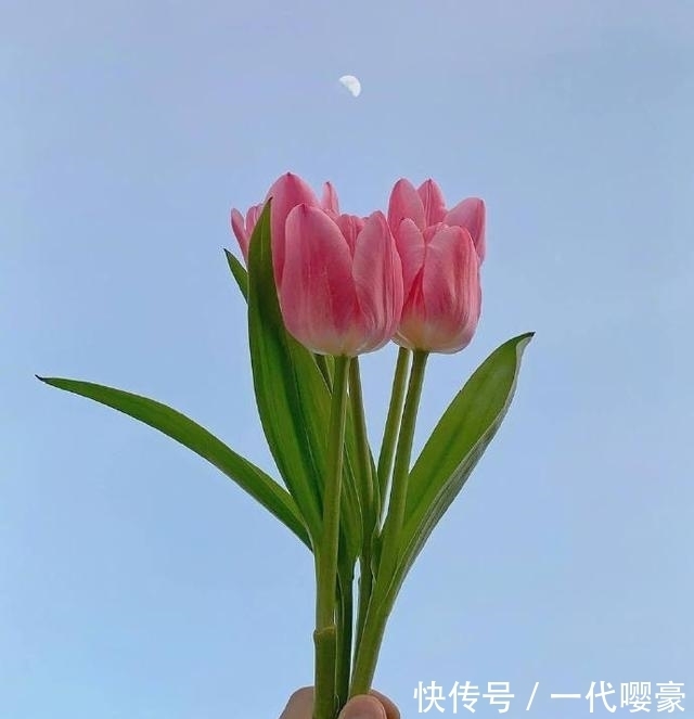 |幽默小句子，皮到没朋友