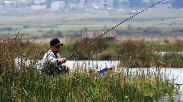 冬钓|冬钓鲫鱼新方法,用了这样一大绝招,上鱼速度就是过瘾