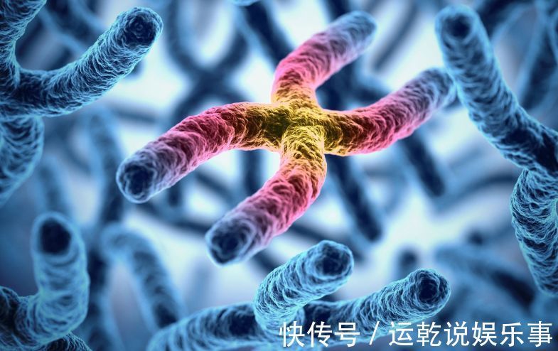 晕倒|47岁男子晕倒入院,糖尿病离世,医生:1种粗粮害了他