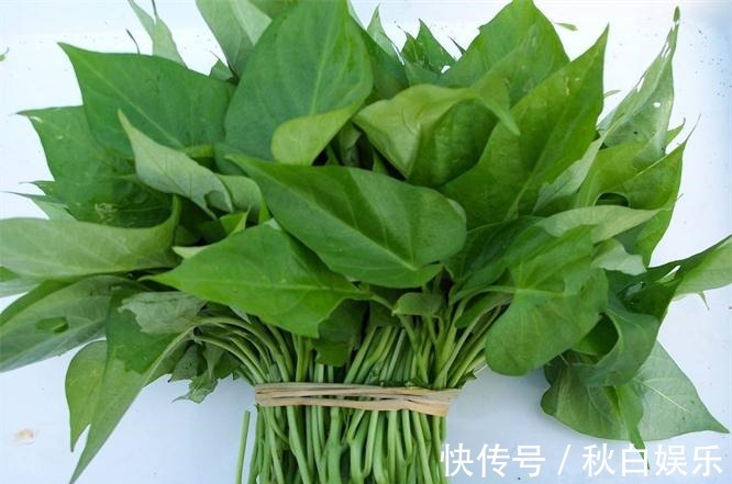 小白菜|想养生得会吃,3种蔬菜每天吃点,清热解毒,润肠通便,降血压