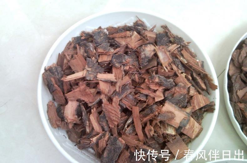 养花|奉劝新人朋友：密封发酵植料，加些它们，养花效果更好！