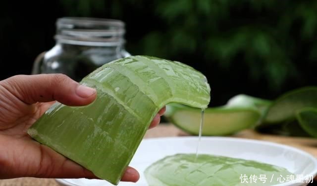 卧室就养4种花,“养人”又养气,不是没有道理!