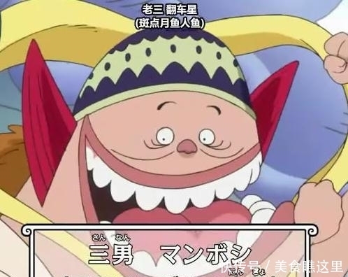 白星|海贼王中的王子们,杰尔马的王子当厨师,巨人族的王子审美独特