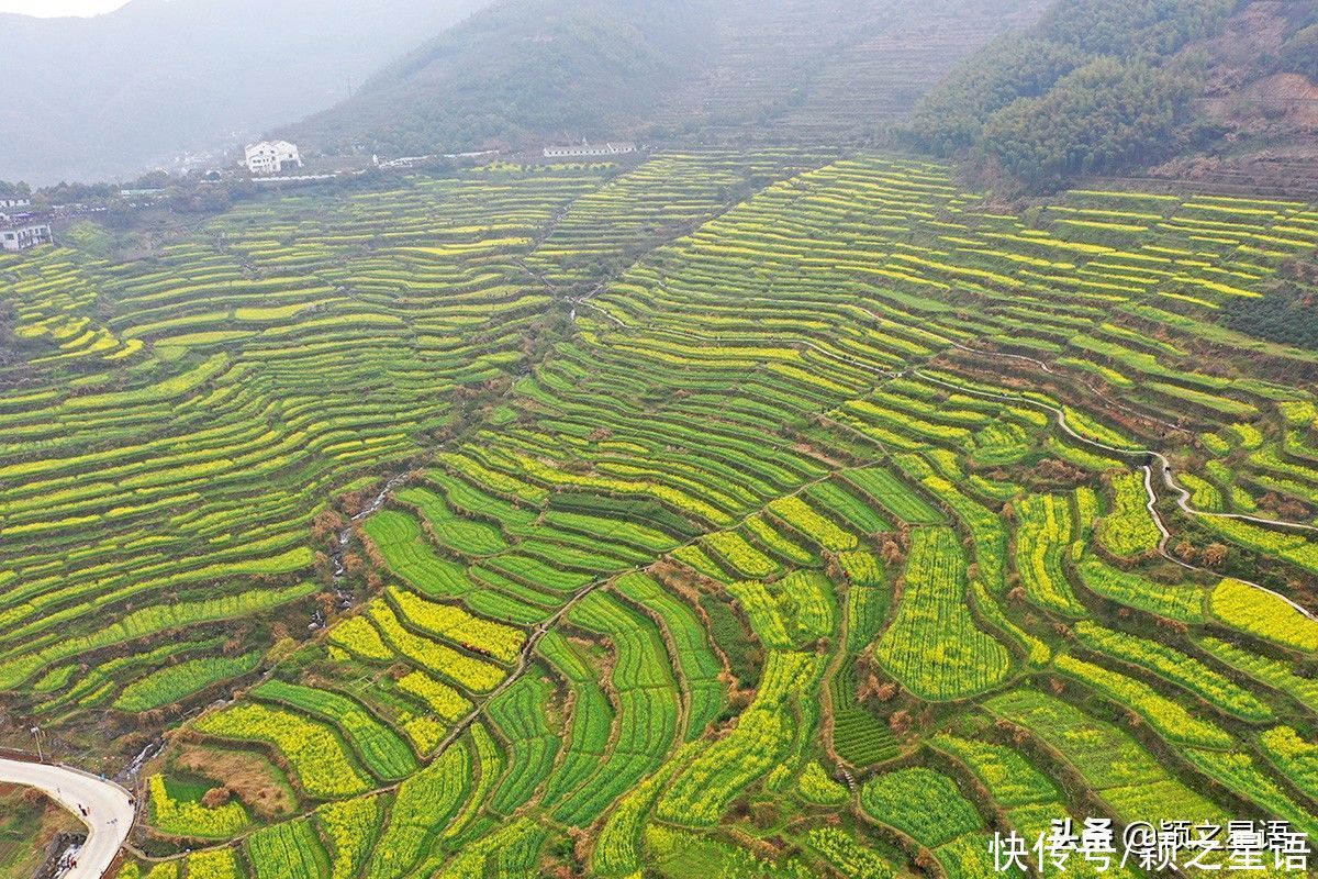 千年梯田花海，美得震撼，免费欣赏