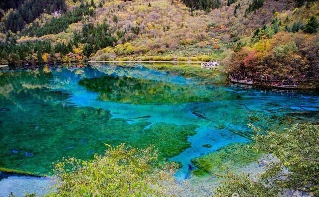 焦距|九寨沟名扬四海，但不适合走马观花，请跟随镜头仔细看看