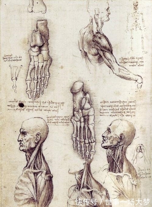 日心@达芬奇为何被质疑是穿越者?你看他当年的手稿有多超前,就明白了