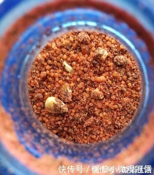 技巧|垂钓鳙鱼的技巧，饵料和垂钓方法用对才是制胜关键