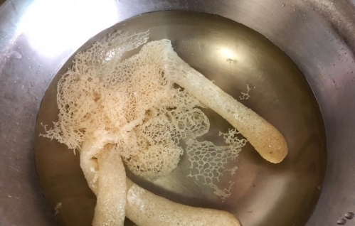 竹笙|朴素清淡的一碗汤,食材不简单,营养更丰富