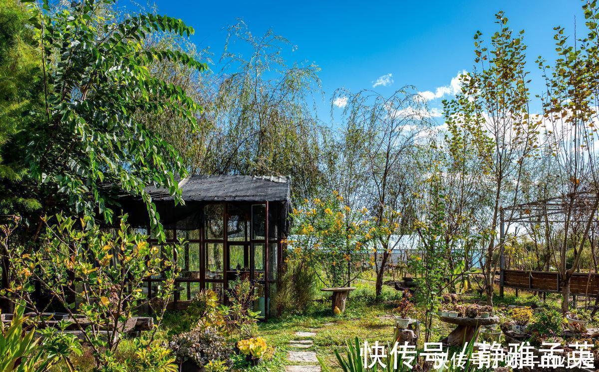 院子|院子一半强光一般阴凉，那就养这6种花，喜阳耐阴好养活