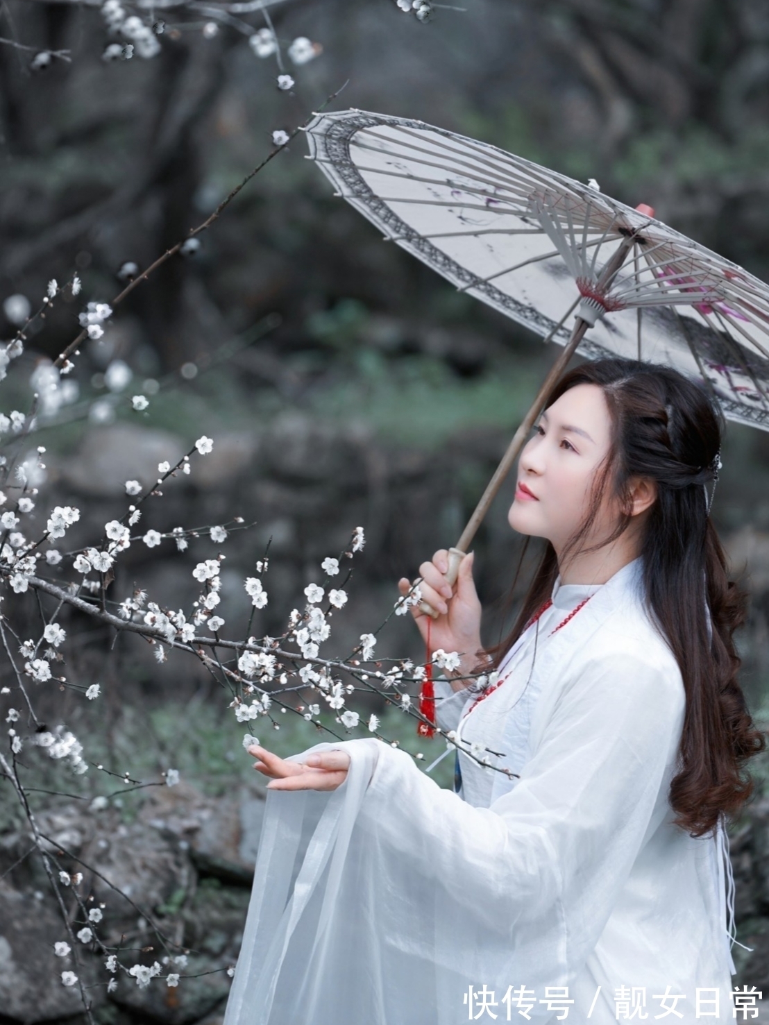 七律$咏雪·七律·二十四首丨瑶池落落纤柔色,阆苑依依素雅音